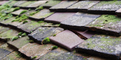 Pen Y Fai roof repair costs